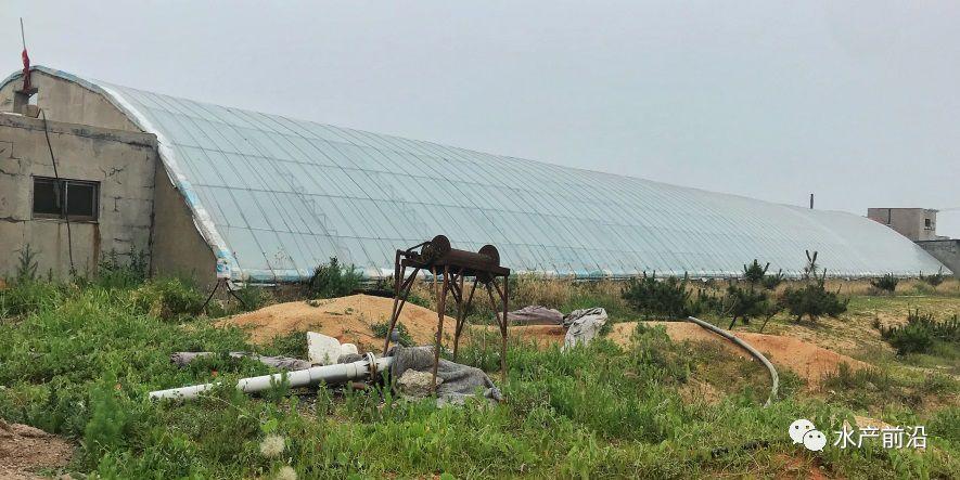 出蝦27斤/立方，連續(xù)三造成功后，工廠化養(yǎng)蝦在他看來并不難！